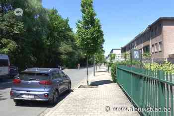 Groen: “Oosterweel brengt meer beton maar minder bos”