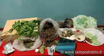 Pregiudicato, 300 grammi d’ “erba” in casa: ai domiciliari - Tempo Stretto