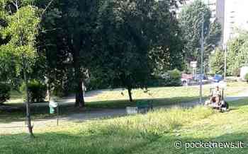 Taglio dell'erba: Corsico caccia la cooperativa incaricata e ne prende un'altra - PocketNews.it