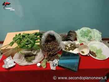 Trovato con 300 grammi di “erba”, arrestato - Secondo Piano News