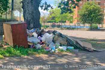 "Con l'erba che cresce in modo incontrollabile qualcuno ne approfitta per dimostrare la propria inciviltà" - Tuscia Web