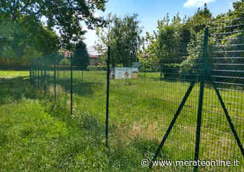 Montevecchia: disagi all'area cani. Oggi il primo taglio erba - Merate Online
