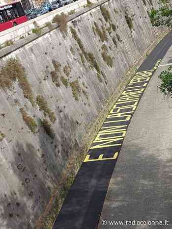 “E non lasciano l’erba”: scritta polemica sulla ciclabile del Tevere - Radio Colonna