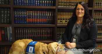 Meet Nova: Stearns Co. second in state with dog to comfort victims