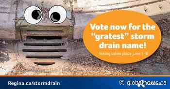 Voting opens for storm drain names in Regina, ‘Darth Grater’ among Top 10