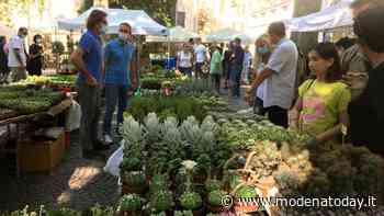 Modena in Fiore riparte dal “Green” e invade tutto il centro storico - ModenaToday