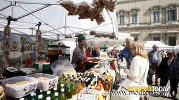 Parva Naturalia: la fiera del biologico torna nel centro storico di Modena - ModenaToday