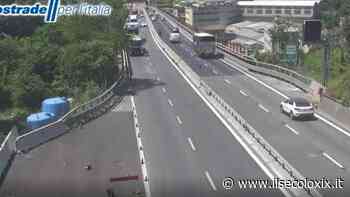 A10, code tra i caselli di Voltri e Pegli per un capriolo investito dalle auto in transito - Il Secolo XIX
