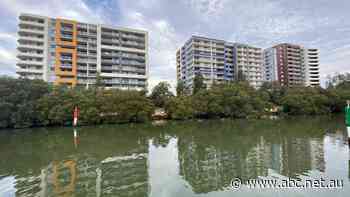 Sydney developer in spotlight again over alleged apartment defects