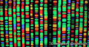 Best DNA test for 2021: AncestryDNA vs. 23andMe and more     - CNET