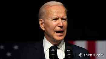 Top union unveils national town hall strategy to push Biden's jobs plan