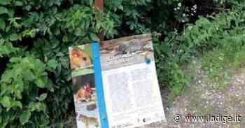 Percorso al Bersaglio di Ala,appena inaugurato, già vandalizzato - l'Adige - Quotidiano indipendente del Trentino Alto Adige