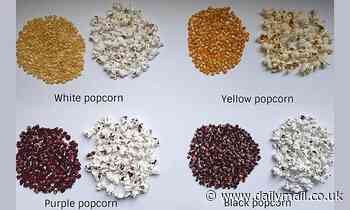 What's popping? Study finds thickness of a kernel's outer layer is the key to larger popcorn pieces