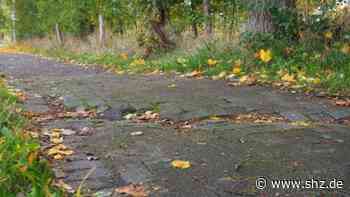 Zwischen Tornesch und Prisdorf: L107: Größte Schäden an Geh- und Radweg sollen beseitigt werden | shz.de - shz.de