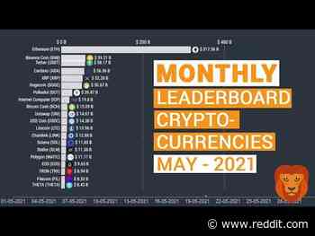 I made a Crypto Monthly Leaderboard for May 2021, check out my new channel!