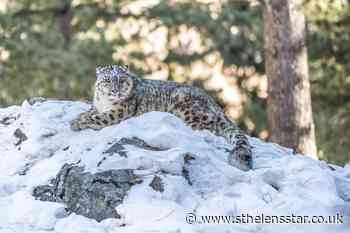 World's wildlife under threat from climate change, report warns - St Helens Star