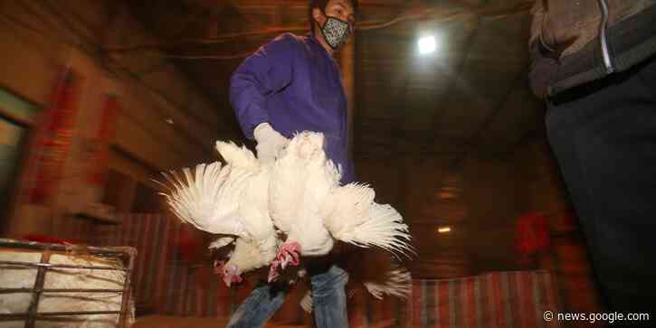 What Is Going on With Bird Flu? China Reports First Human Case of H10N3 Strain - The Wall Street Journal