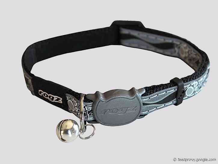 The 8 best cat collars in 2021