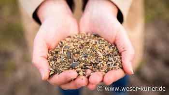 Geld für die Nachhaltigkeit: Erste Förderprojekte stehen fest - WESER-KURIER