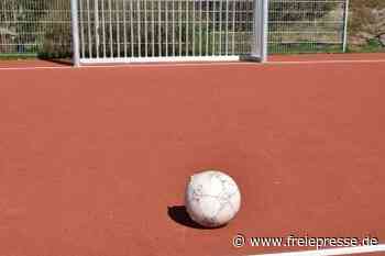 Spiel, Sport und Grillen: Jugendherberge auch außen top - Freie Presse