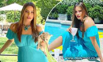 Sofia Vergara stuns in clinging turquoise dress as she enjoys a sunny Memorial Day - Daily Mail