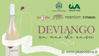 Cia Ascoli-Fermo-Macerata: a Monte Rinaldo iniziativa “Deviango un vino che unisce” - picenotime