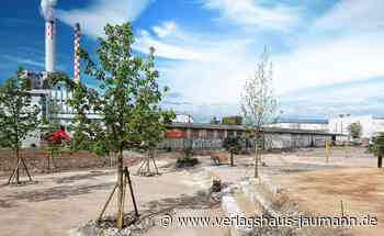 Basel: Damit es zwischen Steinen grünt - Basel - www.verlagshaus-jaumann.de