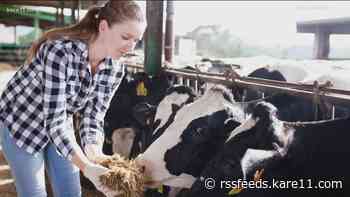 Meet the first female shot-caller on a fifth generation Wisconsin dairy farm