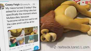 Lion King cake just keeps getting sweeter, becomes opportunity to help others