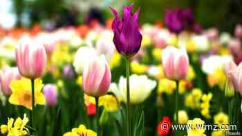 GoggleWorks Center for the Arts and Lauer's Park Elementary team up for new project - 69News WFMZ-TV