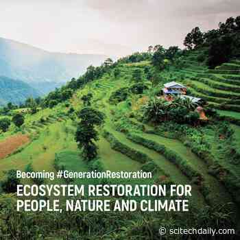 UN Decade on Ecosystem Restoration: UN Urges Intense Restoration of Nature to Address Climate and Biodiversity Crises