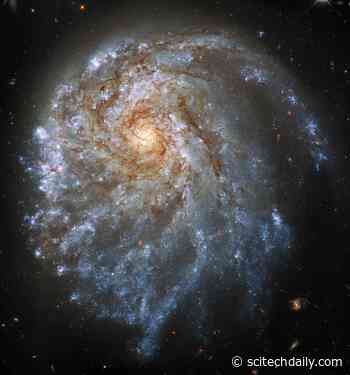 Hubble Views Magnificent Lopsided Galaxy NGC 2276