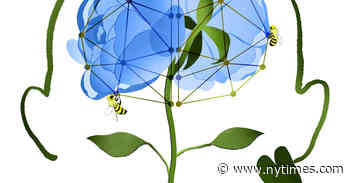 This Is Your Brain on Edward St. Aubyn