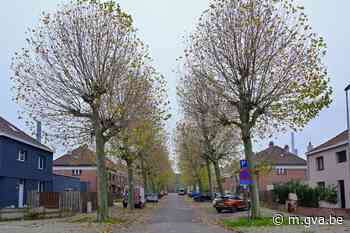 Loodwaarden in wijk rond Umicore: eerste resultaten bloedond... (Hoboken) - Gazet van Antwerpen Mobile - Gazet van Antwerpen