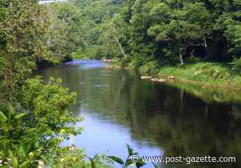 Allegheny National Forest grows over 500 acres with land transfer