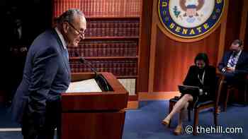 Democratic divisions threaten Biden's voting push