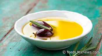 US Army soldiers mistakenly raid Bulgarian olive oil factory during NATO exercise