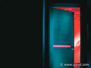 Chinese cybercriminals spent three years creating a new backdoor to spy on governments