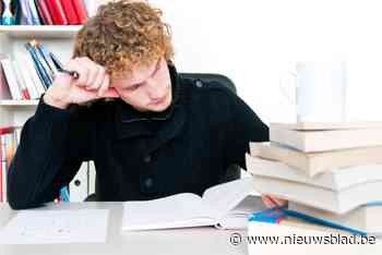 Ook studieplekken in bib en Coffeebar 't Getouw - Het Nieuwsblad