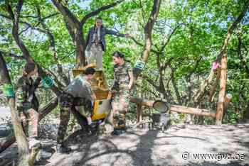 Leerlingen Campus Het Spoor spelen bostoneel op de Galbergen - Gazet van Antwerpen