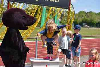 Molse sportkampioenen worden gespreid gehuldigd (Mol) - Gazet van Antwerpen