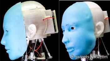 Scientists Develop Open-Source AI Humanoid Head Eva That Uses Facial Expressions to Communicate Like Humans