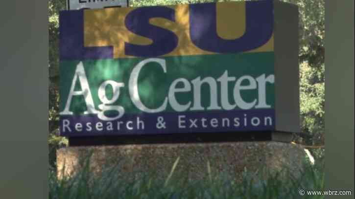 LSU AgCenter seeks participants for mosquito repellent study
