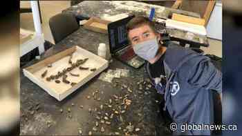 USask paleontology student unearths ancient species in southern Sask.