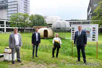 De Singel maakt gebouwen duurzamer: insecten én mensen welkom