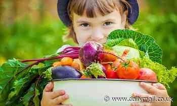 Children on trendy vegan diets are 1.2 inches SHORTER on average