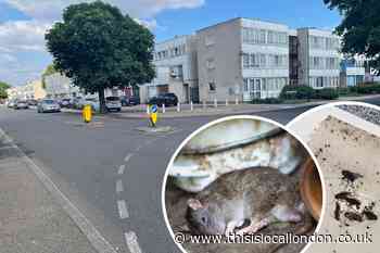 Clarion apologise for conditions on Eastfields Estate