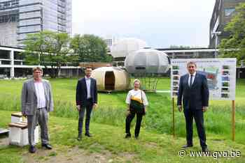 De Singel maakt gebouwen duurzamer: insecten én mensen welkom - Gazet van Antwerpen