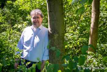 Groen trekt aan alarmbel over “kaalkap” bossen voor Oosterweelwerven - Gazet van Antwerpen