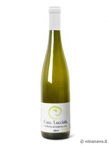 Casa Lucciola, Doc Verdicchio di Matelica 2019 - WineNews